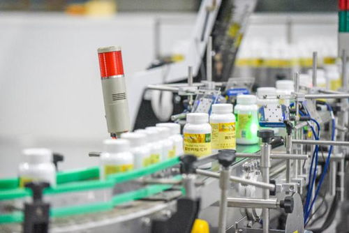 走進(jìn)新國企探索新實(shí)踐 從科技賦能到創(chuàng)新服務(wù)的綠色發(fā)展路徑